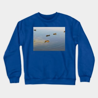 Nice day for a swim Crewneck Sweatshirt